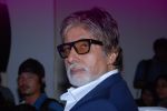Amitabh Bachchan at Pawsitive People_s Awards in Mumbai on 22nd Sept 2013 (28).JPG